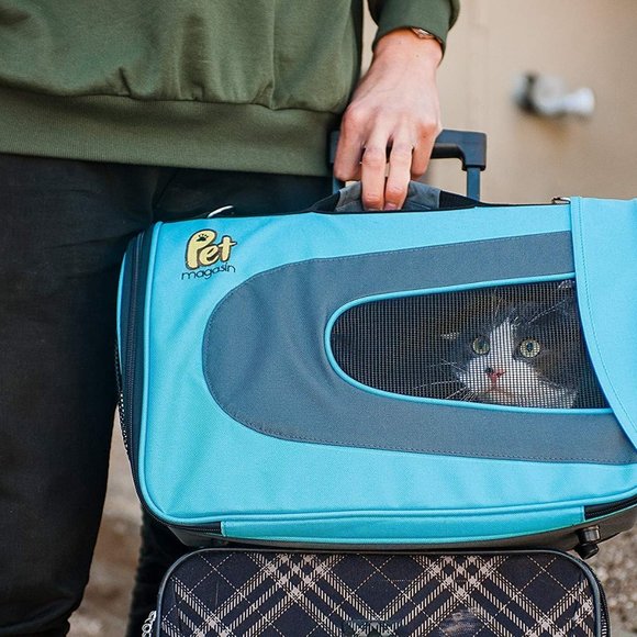 Amazon Cat Euc Softsided Pet Travel Carrier Airline Approved